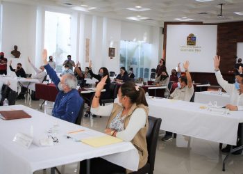 MODIFICA SOLIDARIDAD PROGRAMA OPERATIVO ANUAL 2020 PARA APROVECHAR RECURSOS FEDERALES