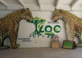 CIERRA OTRA VEZ EL PARQUE ZOOLÓGICO PAYO OBISPO POR RIESGO DE CONTAGIOS DE COVID-19