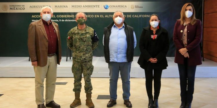 PRESENTA GOBIERNO DE MÉXICO PLAN DE ACCIÓN PARA LA ATENCIÓN INTEGRAL DEL ALTO GOLFO DE CALIFORNIA