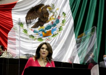 DIPUTADA FEDERAL PIDE SE MANTENGA AL MARGEN TITULAR DE INMUJERES
