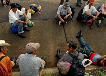 TRABAJARON CON PESTICIDAS Y NO PUDIERON TENER HIJOS: EL CASO LATHROP