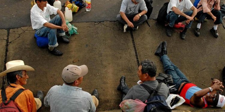 TRABAJARON CON PESTICIDAS Y NO PUDIERON TENER HIJOS: EL CASO LATHROP