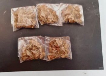 POR PORTAR ARMA Y DROGA LE IMPONEN SENTENCIA DE 4 AÑOS Y 10 MESES