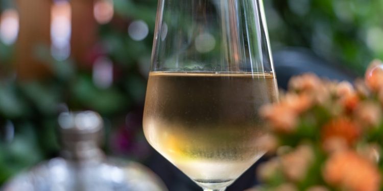 ¿PUEDO TOMAR VINO EN AÑO NUEVO SI TENGO DIABETES?