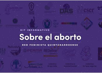 PIDE GOBERNANZA LEGISLAR SOBRE EL ABORTO CON BASE EN DATOS CIENTÍFICOS