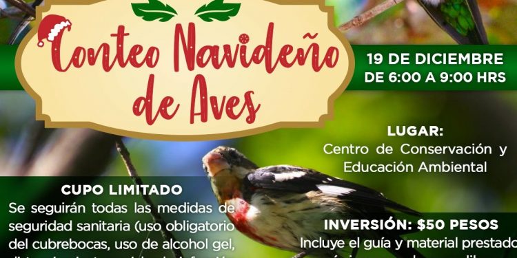 LA FPMC INVITA A PARTICIPAR EN EL “CONTEO NAVIDEÑO DE AVES”