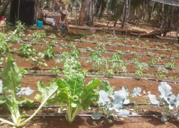 EN QUINTANA ROO SE AVANZA EN LA INDEPENDENCIA ECONÓMICA DE LAS MUJERES