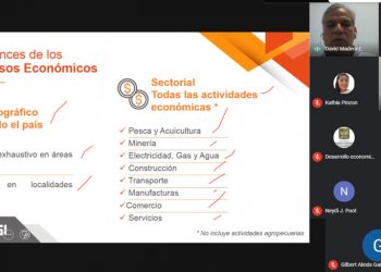 LA SEFIPLAN COORDINA CAPACITACIÓN EN MATERIA DEL “CENSO ECONÓMICO 2019” IMPARTIDO POR EL INEGI