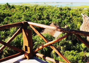 QUINTANA ROO TRAZA PRIORIDADES PARA ACCIONES CLIMÁTICAS CON APOYO DE GCFTF
