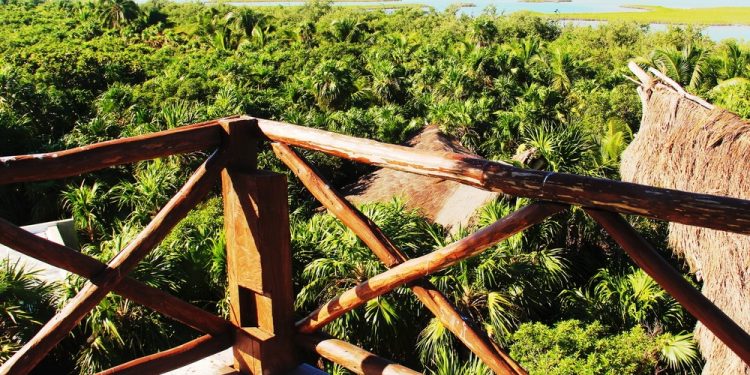 QUINTANA ROO TRAZA PRIORIDADES PARA ACCIONES CLIMÁTICAS CON APOYO DE GCFTF