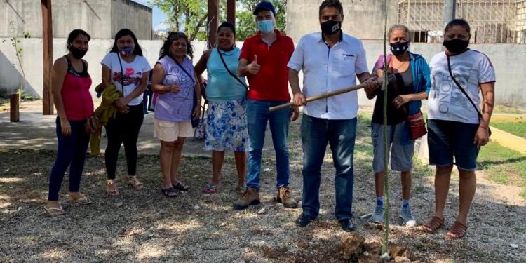 CONTINUAMOS SIN DESCANSO, REFORESTANDO PARA DEJAR “HUELLAS DE VIDA” LENIN AMARO CCERM