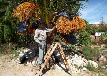 CAMPESINOS RESCATAN UN «PARAÍSO MIXTECA» EN OAXACA