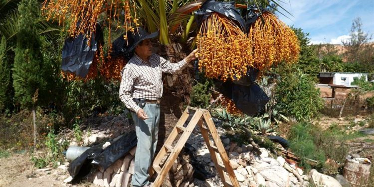 CAMPESINOS RESCATAN UN «PARAÍSO MIXTECA» EN OAXACA
