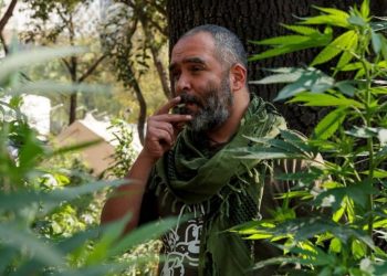 CONSUMIDORES DE MARIHUANA LAMENTAN LA PRÓRROGA OTORGADA AL CONGRESO