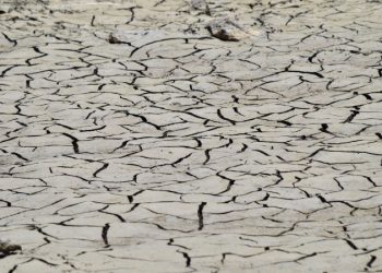 DECLARAN DESASTRE NATURAL POR SEQUÍA A 48 MUNICIPIOS DE CHIHUAHUA