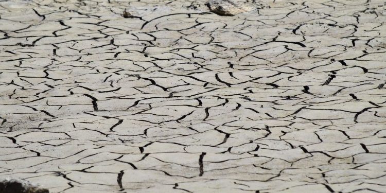 DECLARAN DESASTRE NATURAL POR SEQUÍA A 48 MUNICIPIOS DE CHIHUAHUA