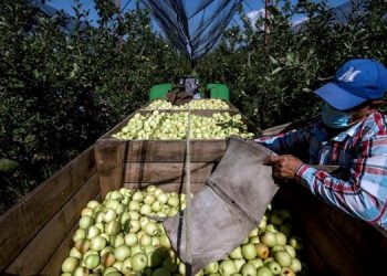 EL SUPERÁVIT AGROALIMENTARIO DE MÉXICO SUPERA LOS 10.000 MILLONES DE DÓLARES