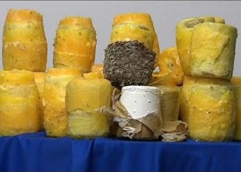 EXTRADITAN A ESPAÑA A UN MEXICANO QUE INTRODUJO COCAÍNA CAMUFLADA ENTRE PIÑAS