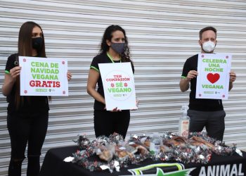SOFÍA SISNIEGA REPARTE CENAS VEGANAS DE NAVIDAD