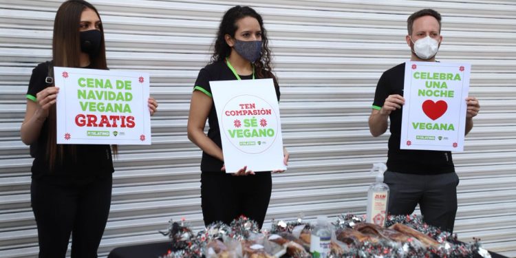 SOFÍA SISNIEGA REPARTE CENAS VEGANAS DE NAVIDAD