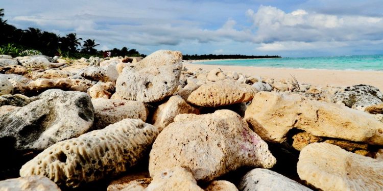 DESTACA TITULAR DE SEMA LA APERTURA DE  XCACEL-XCACELITO