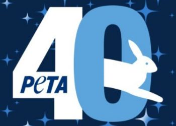 KATE DEL CASTILLO Y JESSE &JOY CELEBRAN LOS 40 AÑOS DE PETA