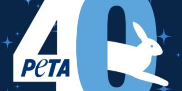 KATE DEL CASTILLO Y JESSE &JOY CELEBRAN LOS 40 AÑOS DE PETA