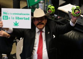 SUPREMA CORTE OTORGA A CONGRESO NUEVO PLAZO PARA REGULAR EL CANNABIS