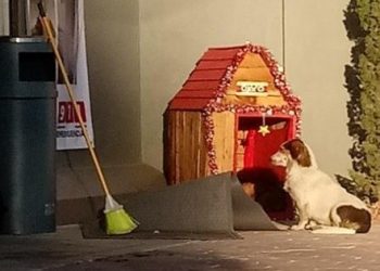 UN OXXO ADOPTA UN PERRO Y «CELEBRA» LA NAVIDAD