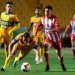 1-1. TIGRES EMPATA ANTE NECAXA ANTES DE VIAJAR AL MUNDIAL DE CLUBES