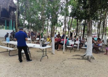 DESMANTELAN CÉLULA EN SOLIDARIDAD