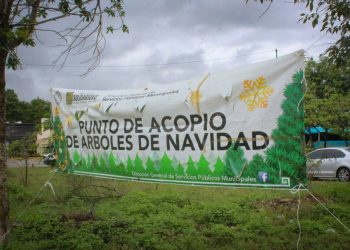 INSTALA SOLIDARIDAD CENTROS DE ACOPIO PARA ARBOLITOS NAVIDEÑOS