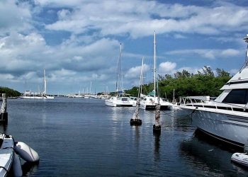 TRABAJAN MEDIO AMBIENTE MUNICIPAL, PROFEPA Y AMHMAR EN RESCATE Y PRESERVACIÓN DE MANATÍ UBICADO EN ZONA DE LA LAGUNA MAKAX