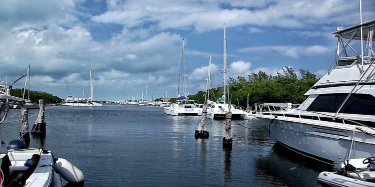 TRABAJAN MEDIO AMBIENTE MUNICIPAL, PROFEPA Y AMHMAR EN RESCATE Y PRESERVACIÓN DE MANATÍ UBICADO EN ZONA DE LA LAGUNA MAKAX