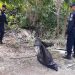 POLICÍAS PARTICIPAN EN LIMPIEZA DE LA ZONA TURÍSTICA DE TULUM