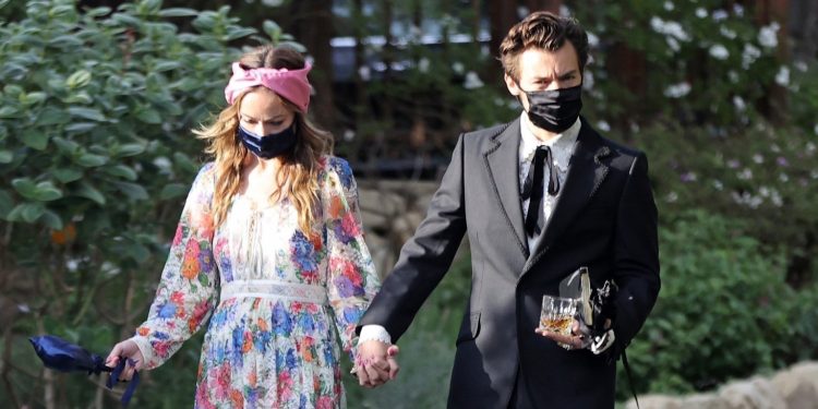 HARRY STYLES Y OLIVIA WILDE PODRÍAN SER LA NUEVA PAREJA DEL MOMENTO
