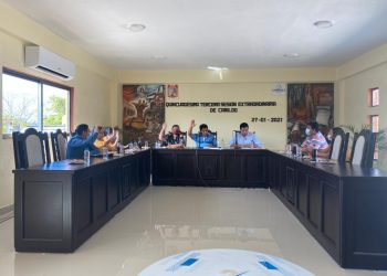 APRUEBAN LICENCIA DE PAOLY PERERA