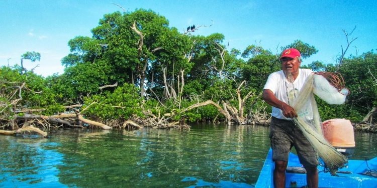 LANGOSTEROS DE FCP CERRARÁN TEMPORADA DE CAPTURA DEL CRUSTÁCEO CON BUENAS EXPECTATIVAS