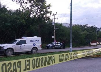 HALLAN SUPUESTO CRÁNEO HUMANO EN UN ÁRBOL EN CANCÚN