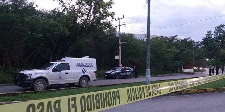 HALLAN SUPUESTO CRÁNEO HUMANO EN UN ÁRBOL EN CANCÚN