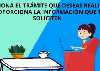 LA SECRETARÍA DE ECOLOGÍA Y MEDIO AMBIENTE BRINDA 22 TRÁMITES EN LÍNEA