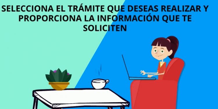 LA SECRETARÍA DE ECOLOGÍA Y MEDIO AMBIENTE BRINDA 22 TRÁMITES EN LÍNEA