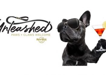 HARD ROCK HOTEL ASEGURA TU COMODIDAD Y LA DE TU MASCOTA