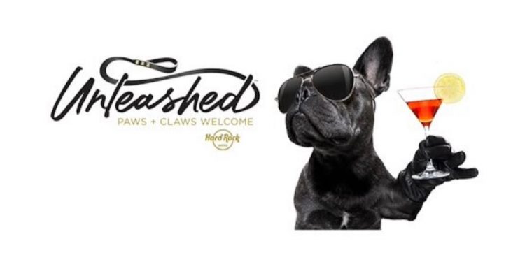 HARD ROCK HOTEL ASEGURA TU COMODIDAD Y LA DE TU MASCOTA