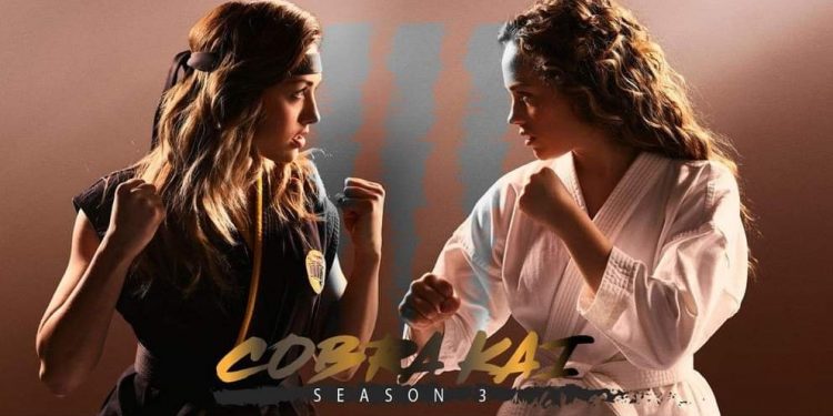ESTE MES COMENZARÁ A RODARSE LA CUARTA TEMPORADA DE COBRA KAI