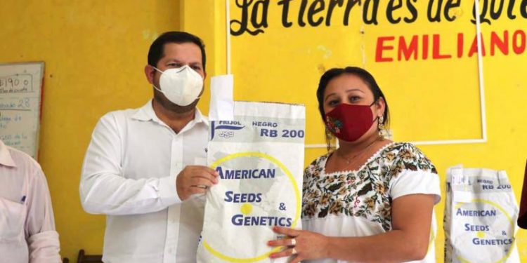 INICIA ENTREGA DE 2,400 PAQUETES DE SEMILLAS DE FRIJOL A PEQUEÑOS PRODUCTORES DEL ESTADO