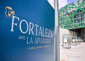 FOTOGRAFÍAS MUESTRAN LA FORTALEZA DEL PUEBLO YUCATECO ANTE LA ADVERSIDAD