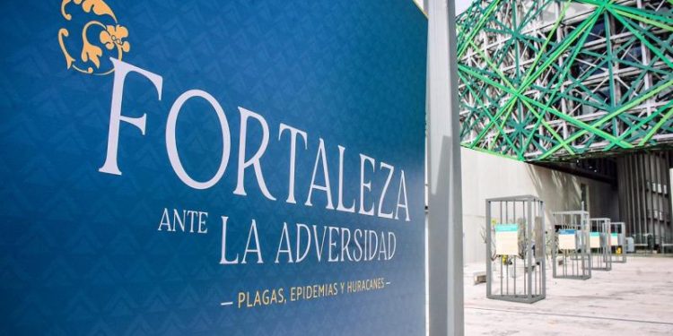 FOTOGRAFÍAS MUESTRAN LA FORTALEZA DEL PUEBLO YUCATECO ANTE LA ADVERSIDAD