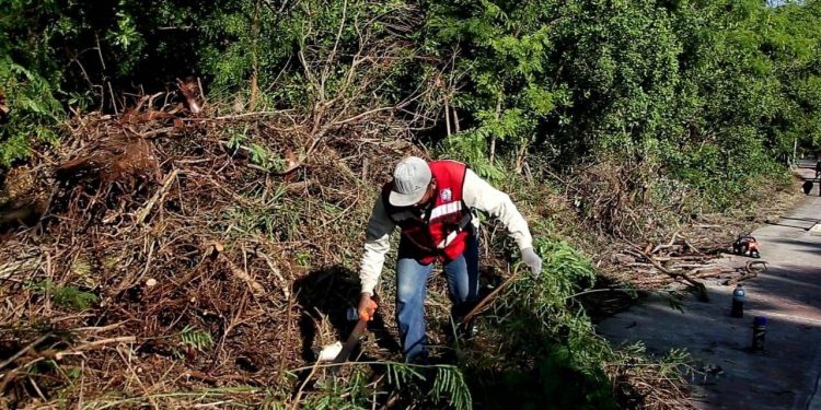 MANTIENE SERVICIOS PÚBLICOS, TRABAJOS DE LIMPIEZA EN RANCHO VIEJO