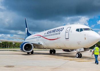 TURBINA DE AVIÓN SE DESCOMPONE POR AVE, ANTES DE EMPRENDER EL VUELO